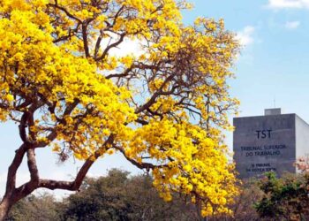 TST define lista tríplice apenas com mulheres para vaga de ministra