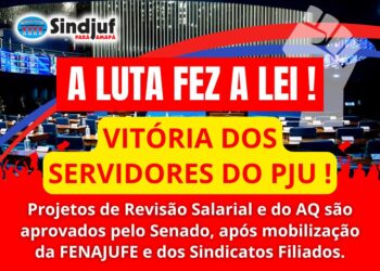 A LUTA FEZ A LEI: Projetos de Revisão Salarial e do AQ são aprovados pelo Senado, após mobilização da FENAJUFE e dos Sindicatos Filiados