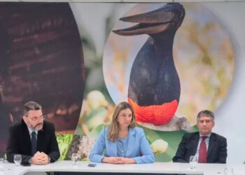 Justiça Federal e instituições parceiras definem serviços que serão oferecidos em ação de cidadania para mulheres, no dia 9 de março