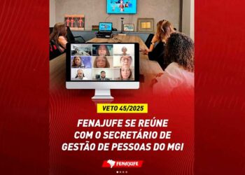 Fenajufe se reúne com representante do MGI para tratar do Veto 45