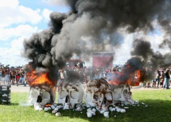Em marcha, povos indígenas confrontam Congresso: os territórios indígenas não estão à venda