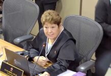 Desembargadora do PA critica corte de penduricalhos: “Daqui a pouco é escravidão”