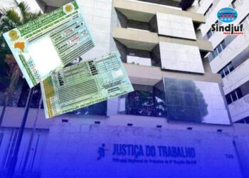 Sindjuf-PA/AP atua pela preservação de direitos já garantidos pelo CSJT aos Agentes de Polícia Judicial, após TRT 8 exigir CNH
