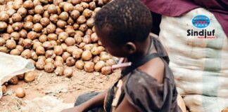 Dia Nacional de Combate ao Trabalho Infantil: maioria das vítimas no Brasil é negra e vive fora das capitais