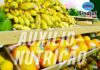 Conselho Nacional de Direitos Humanos acolhe pauta do Auxílio-Nutrição para servidores