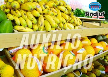Conselho Nacional de Direitos Humanos acolhe pauta do Auxílio-Nutrição para servidores
